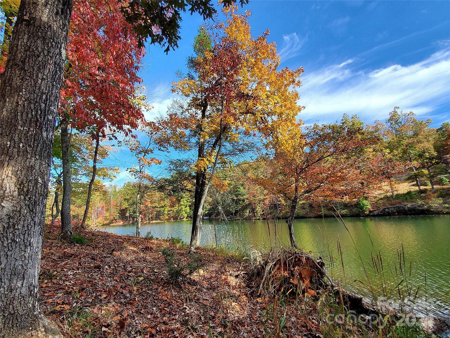 14 Jackson Cove Pkwy, Mill Spring, NC 28756 MLS 4091080 Zillow