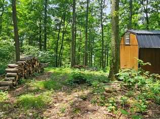 0 Robinson Rd, Wellsburg, NY 14894