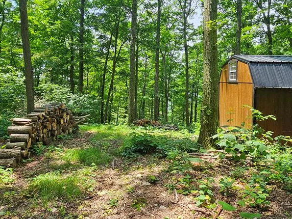 0 Robinson Rd, Wellsburg, NY 14894