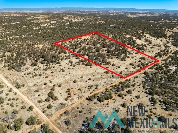 E Mustang Rd, Pinehill, NM 87357