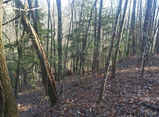 Larue Ln, Ellijay, GA 30540