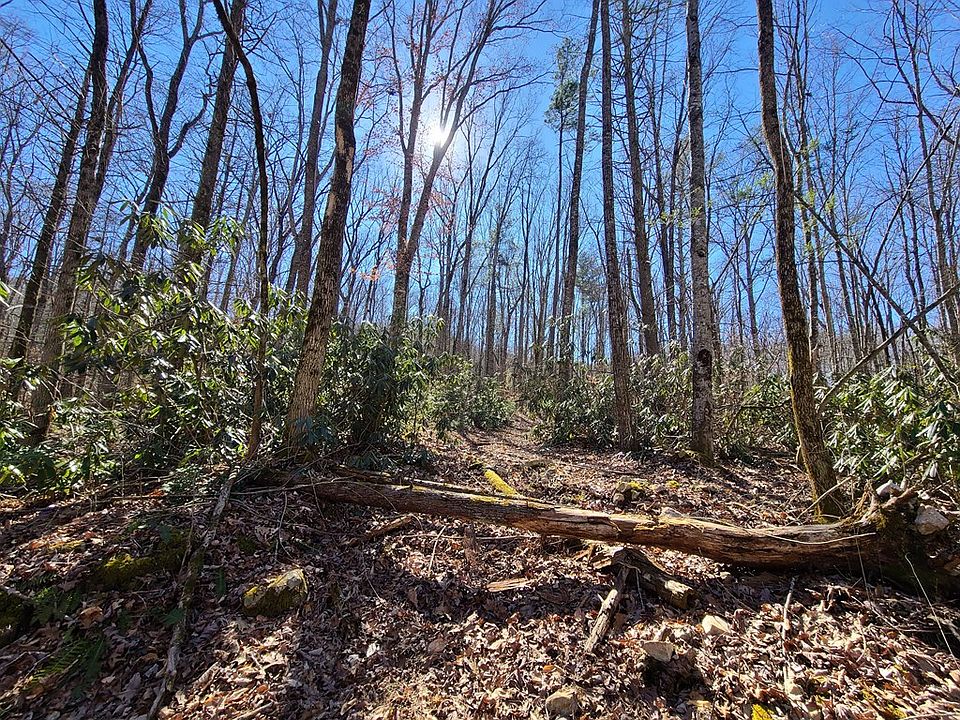 2nd image of Hopkins Rd