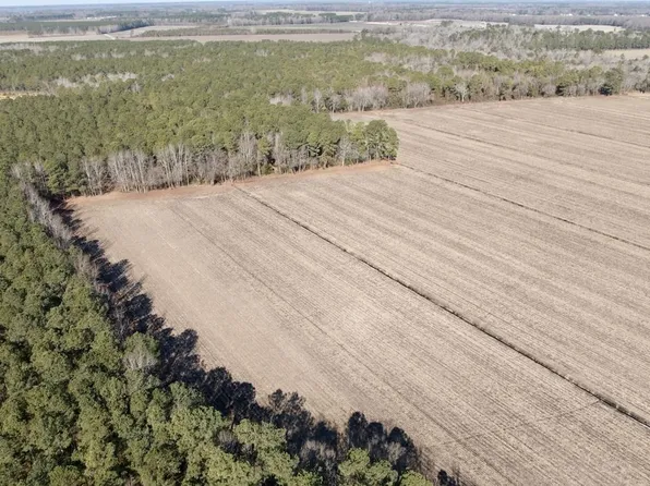 Sandy Ridge Rd, Tyner, NC 27980