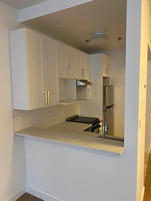 Rented by Voro NYC | media 29