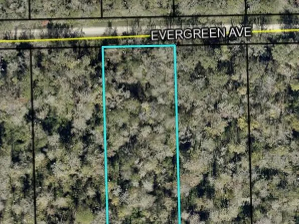 3599 Evergreen Ave #13, Bunnell, FL 32110