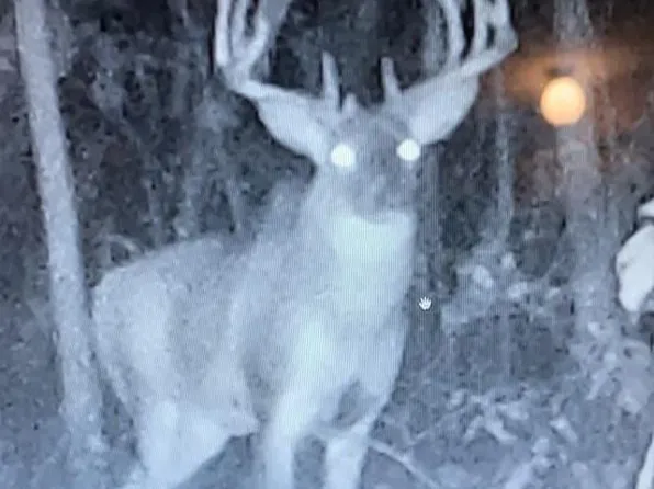 135th St N #135, Livonia, MO 63551