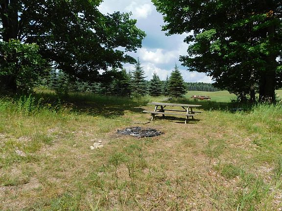 3rd image of 1079 Miller Road 48.5 Acres