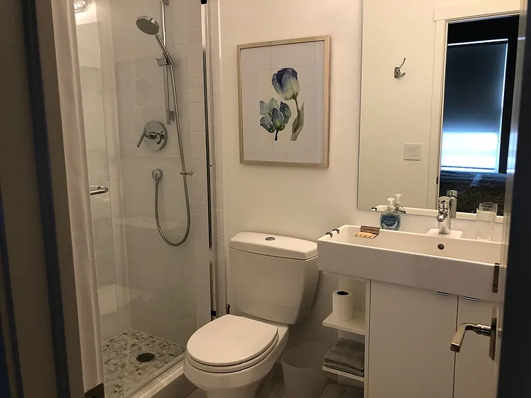 Ensuite guest bath