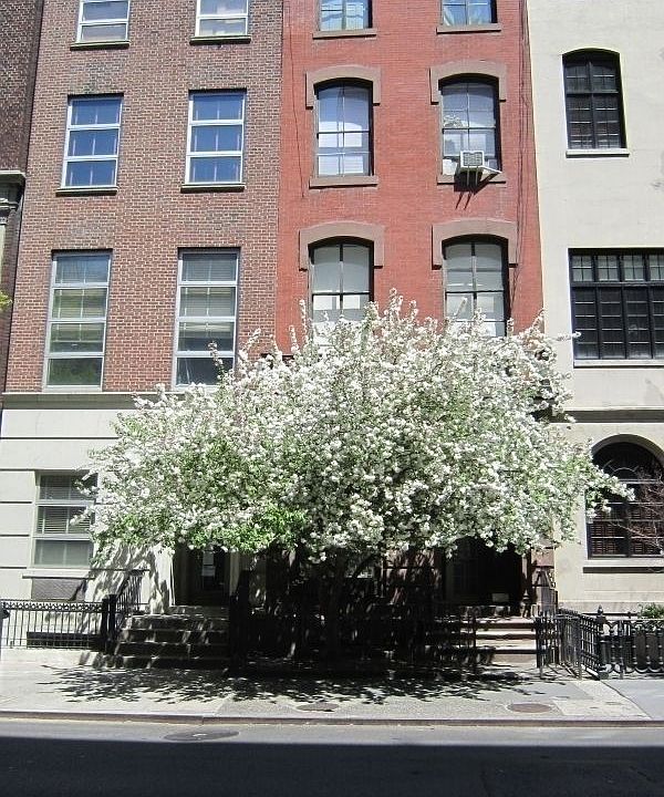 1st image of 31 W 9th St APT 2R