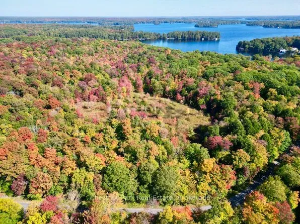 0 Acton Island Rd N, Muskoka Lakes, ON P0B 1J0