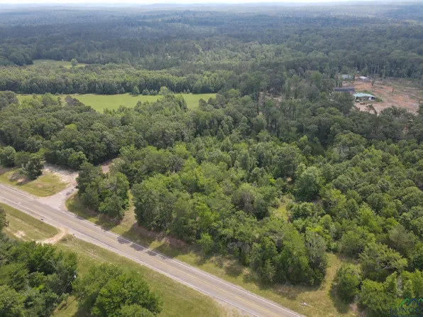 Tbd Fm 161, Avinger, TX 75630