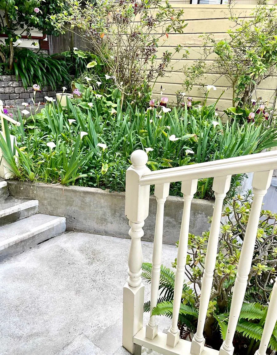 1445 Clayton St — Photo 1