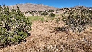 3rd image of 7676 Juniper Rd