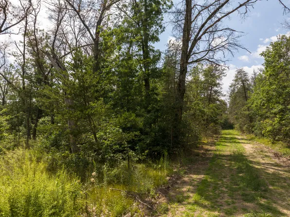 Lots 8 14 Street Louis, Idlewild, MI 49642