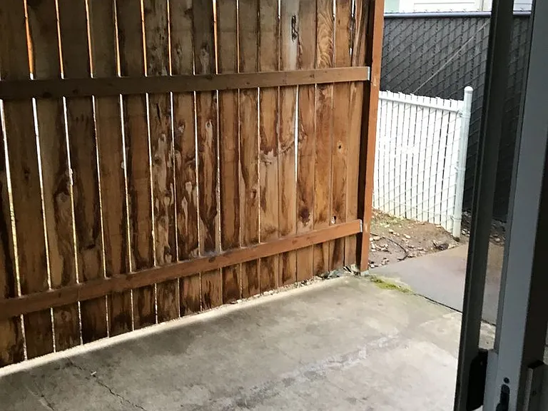 Main — Photo 8