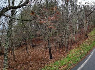 Cool Woods Dr, Boone, NC 28607