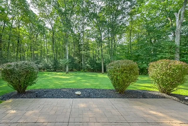 80 Hillbrook Dr — Photo 24