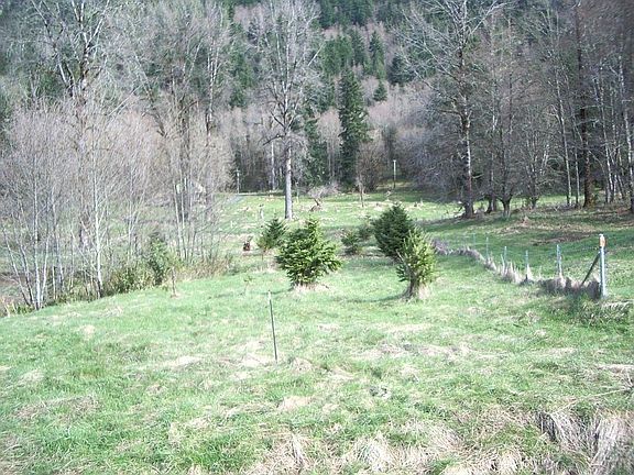 4th image of 33112 To 33114 Mount Tahoma Canyon Rd E