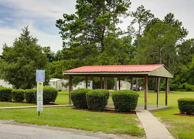 Southern Pines — Photo 6
