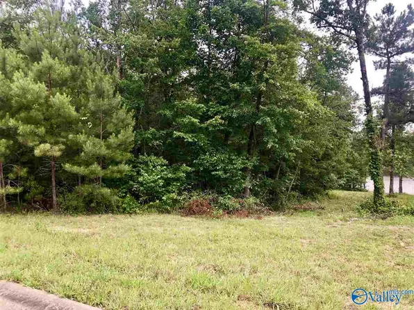 23 Azalea Trl, Centre, AL 35960