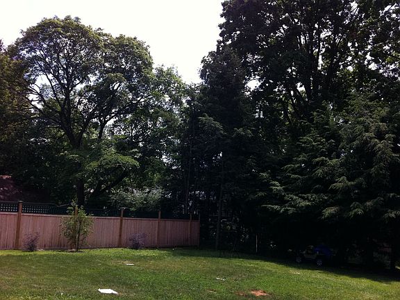 Fenced Flat Backyard