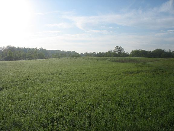 Oversized backyard for a pasture or let the kids play