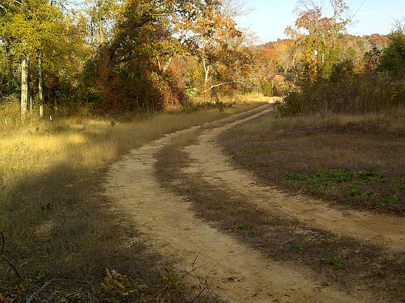 road to the house