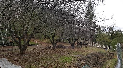 5th image of 346 Franklin Ln