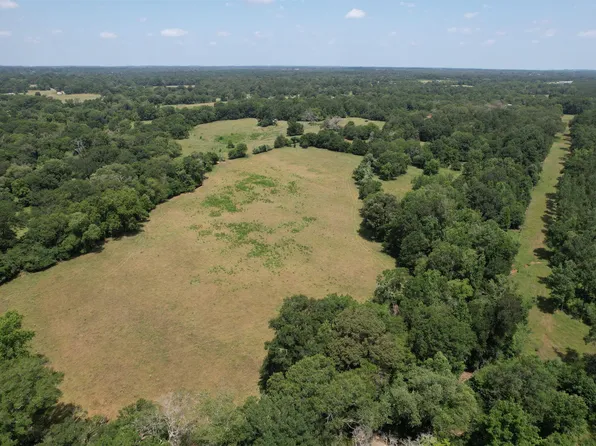 Off Fm #227, Grapeland, TX 75844