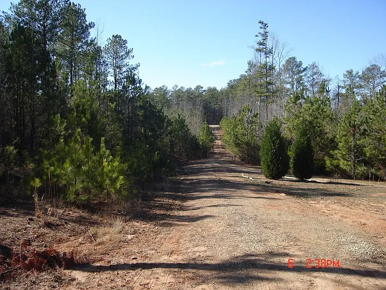 825 Allen Rd — Photo 7