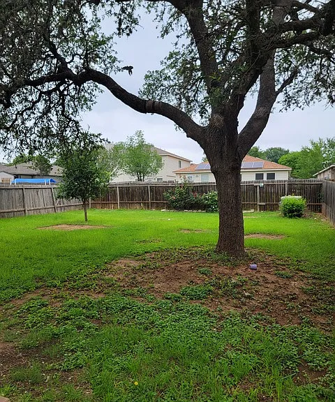 4023 Wisteria Way — Photo 17