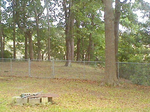 large Backyard, with marsh views