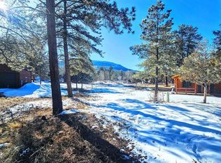 165 Bristle Cone Dr, South Fork, CO 81154