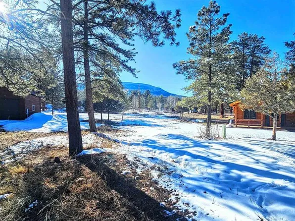 165 Bristlecone Drive, South Fork, CO 81154