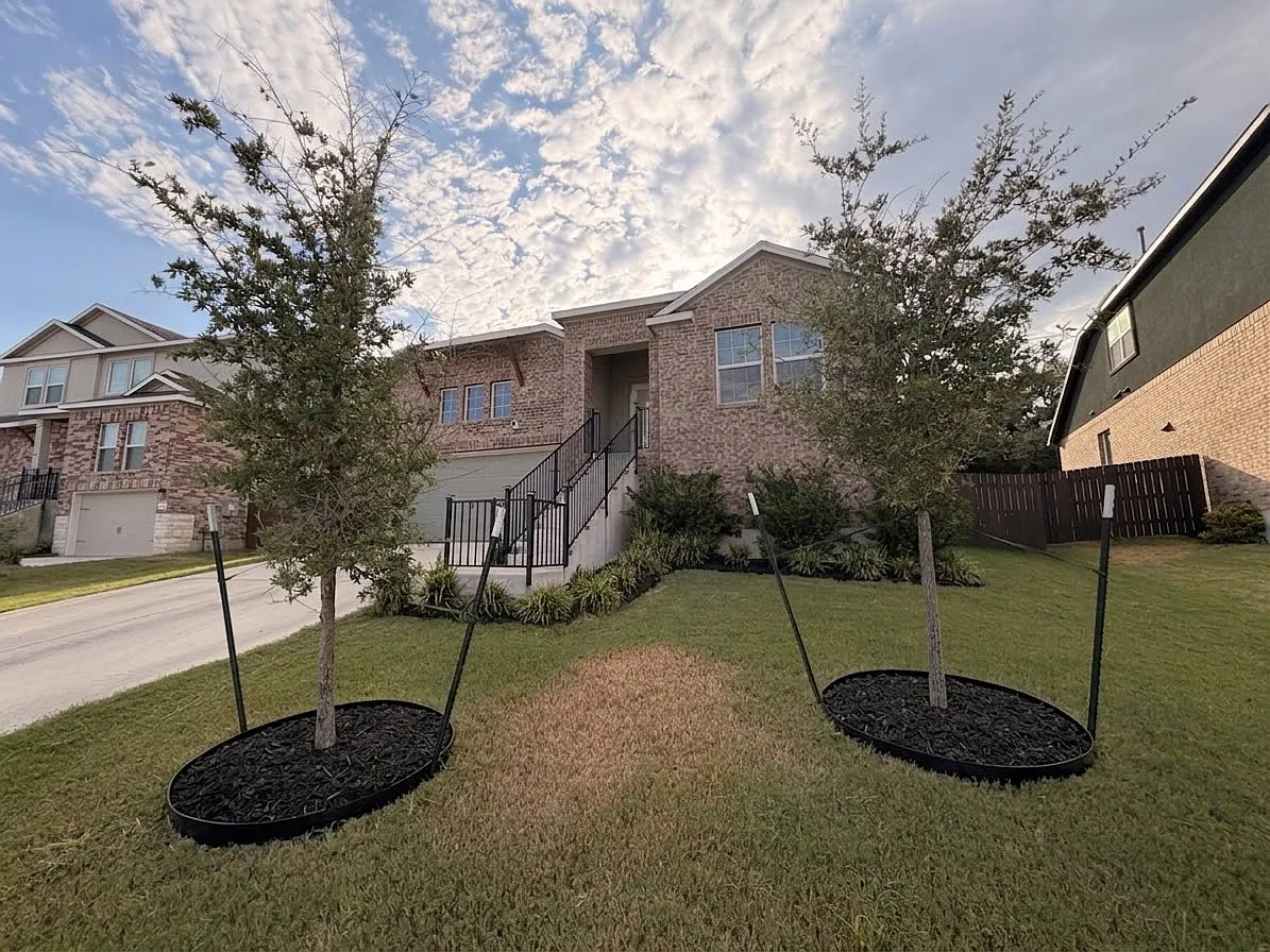 4 bed, 2338 sqft, $2,450 — Photo 2