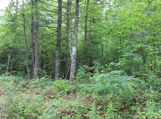 0 Turkey Ridge Rd, Hot Springs, VA 24445