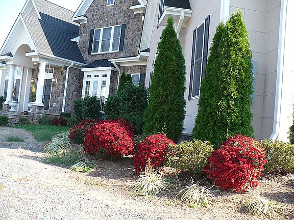 3rd image of 13115 Fleetwood Dr
