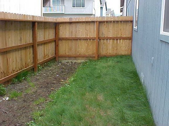 Fenced back yard