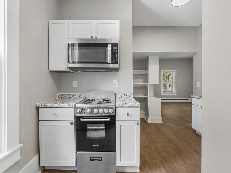 713 W Illinois St #1 — Photo 12