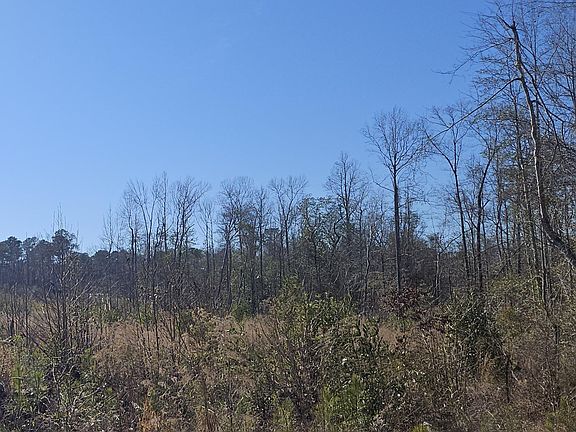 2nd image of LOT One County Rd #36