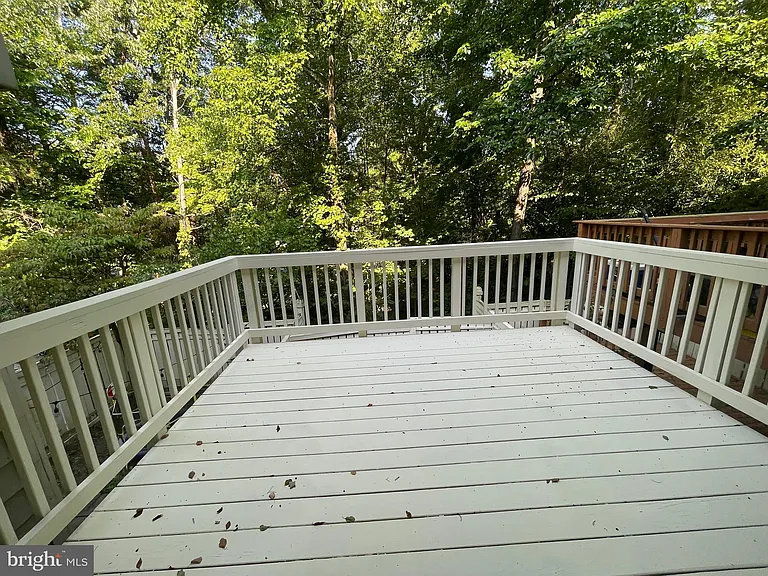 11906 Fieldthorn Ct — Photo 19