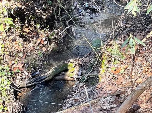 LOT Four Lyndhurst Dr, Hendersonville, NC 28791