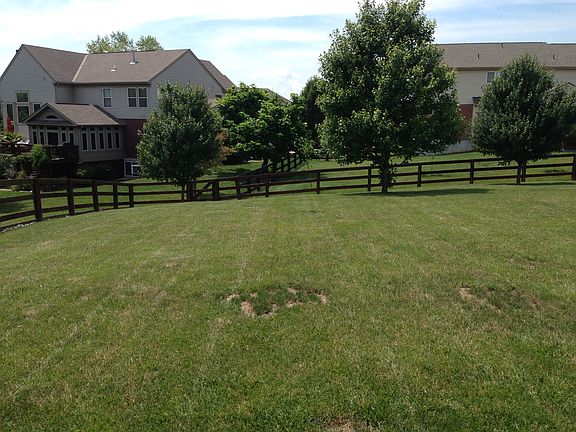 Large fenced in backyard 