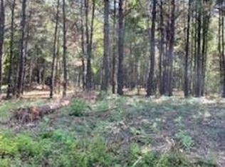 Williams Lake Rd, Pineville, LA 71360