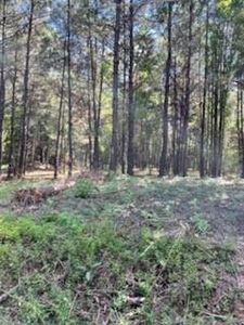 Williams Lake Rd, Pineville, LA, 71360