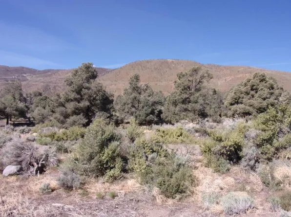 Highway 395, Gardnerville, NV 89410