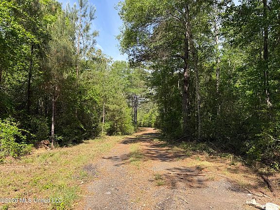 4th image of 0 N Neely Avera Rd