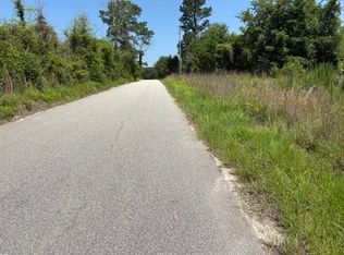 Boston Wells Rd, Alcolu, SC 29001