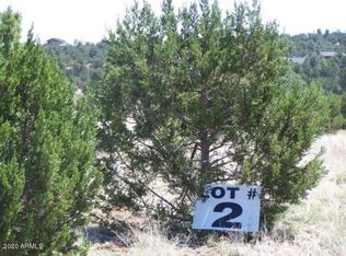 3351 Tonto Dr LOT 19, Overgaard, AZ 85933