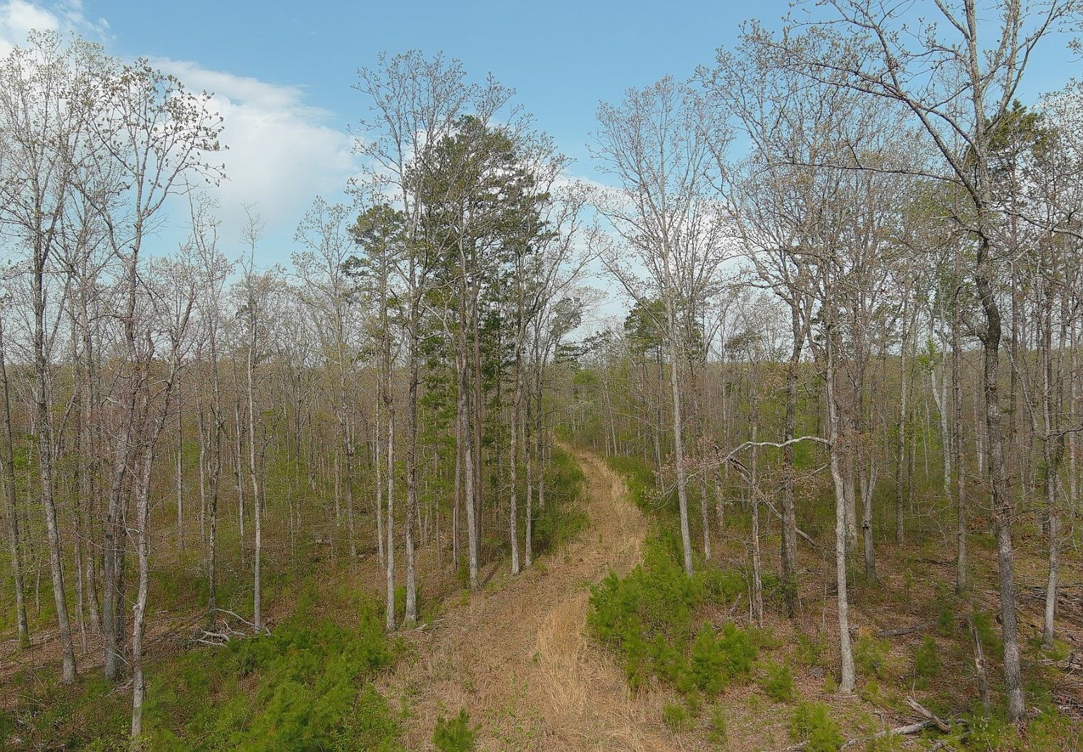 Wayne County Missouri, Greenville, MO 63944 MLS 11218127 Zillow